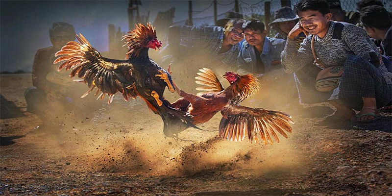 pkvip88 đăng nhập roulette số 1