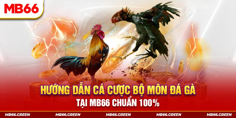 pkvip88 xổ số bình định