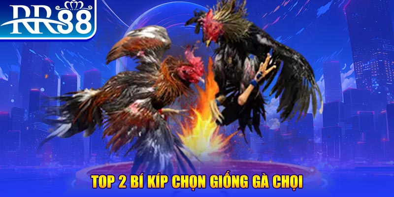 pkvip88 đăng nhập poker số 1