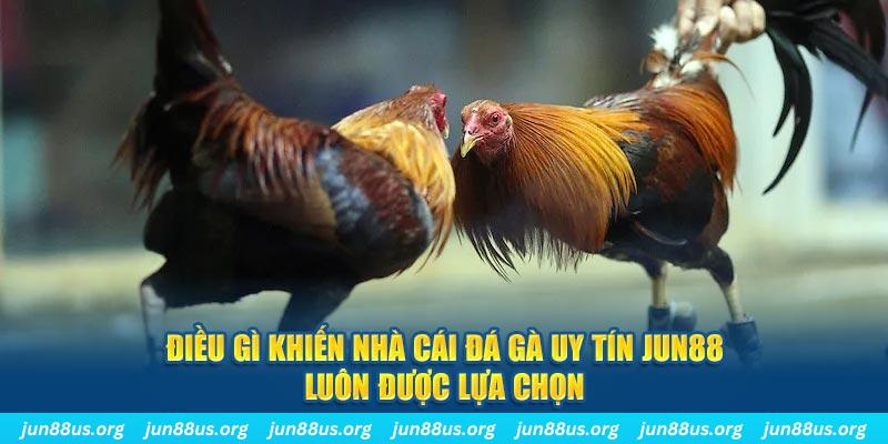 pkvip88 qq88 nổ hũ bắn cá
