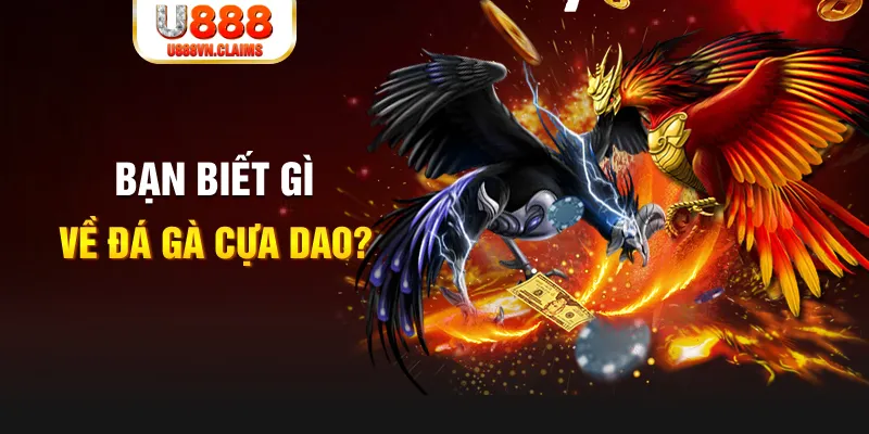 pkvip88 xổ số kiến thiết