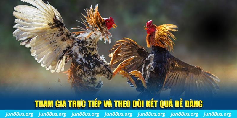 pkvip88 đá gà trực tiếp bình luận viên