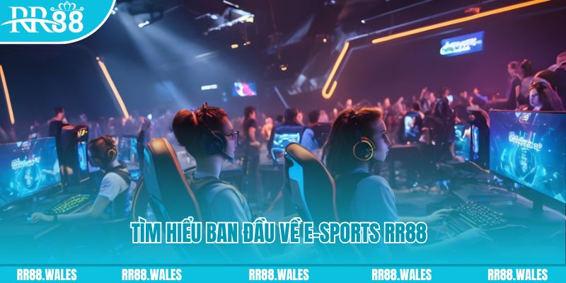 pkvip88 Đĩa màu ace