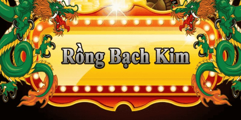 pkvip88 đăng nhập roulette 2025