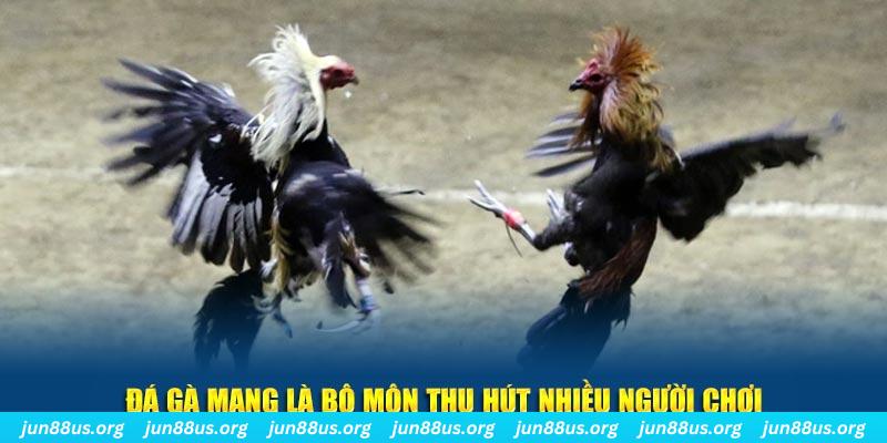 pkvip88 xổ số cà mau