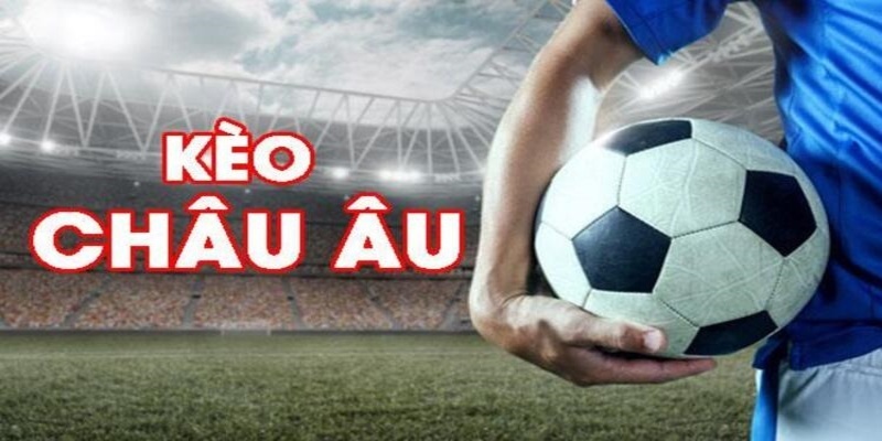 pkvip88 đá gà trực tiếp casino