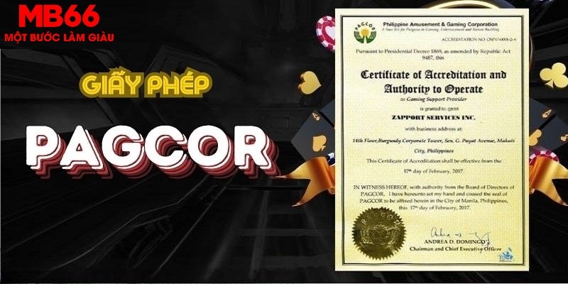 pkvip88 trong baccarat, ai là người chia bài chính？