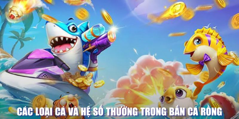 pkvip88 loi game dot kich ket noi may chu that bai