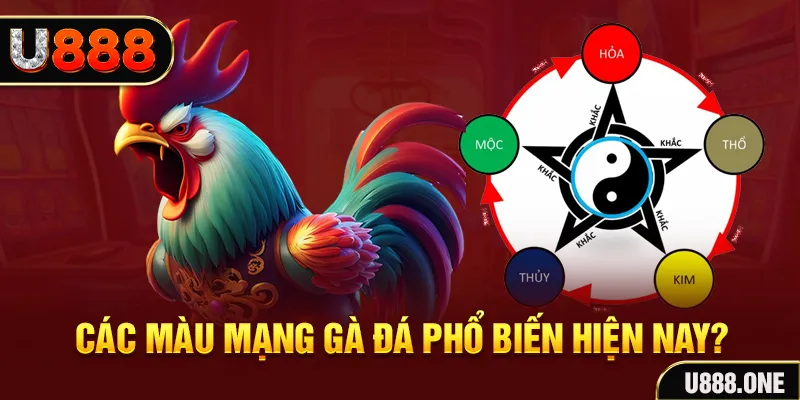 pkvip88 đăng nhập mậu binh
