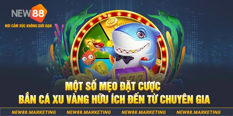 pkvip88 Tài Xỉu