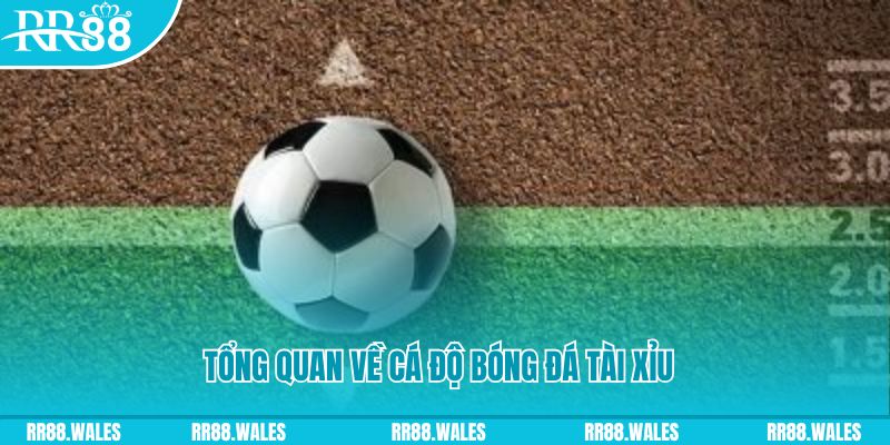 pkvip88 đăng nhập lô đề online