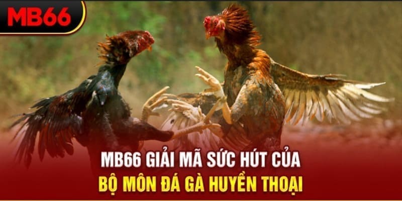 pkvip88 Phi Đội Ưu Tú