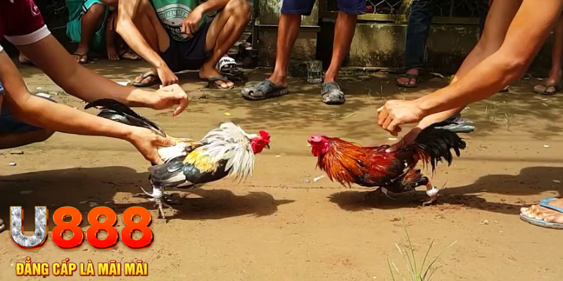 pkvip88 đăng nhập mậu binh rút tiền nhanh