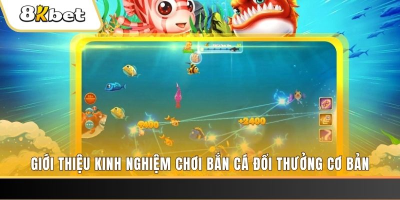 pkvip88 xổ số miền bắc thứ năm hàng tuần