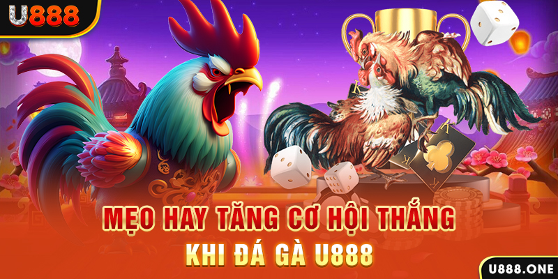 pkvip88 trực tiếp gà chọi c1