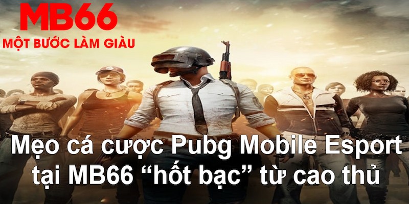 pkvip88 gà chọi mộc hóa
