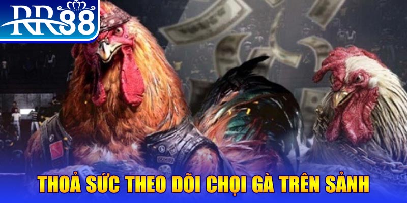 pkvip88 đá gà 88.com