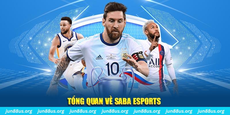 pkvip88 gà chọi c1 tv trực tiếp hôm nay